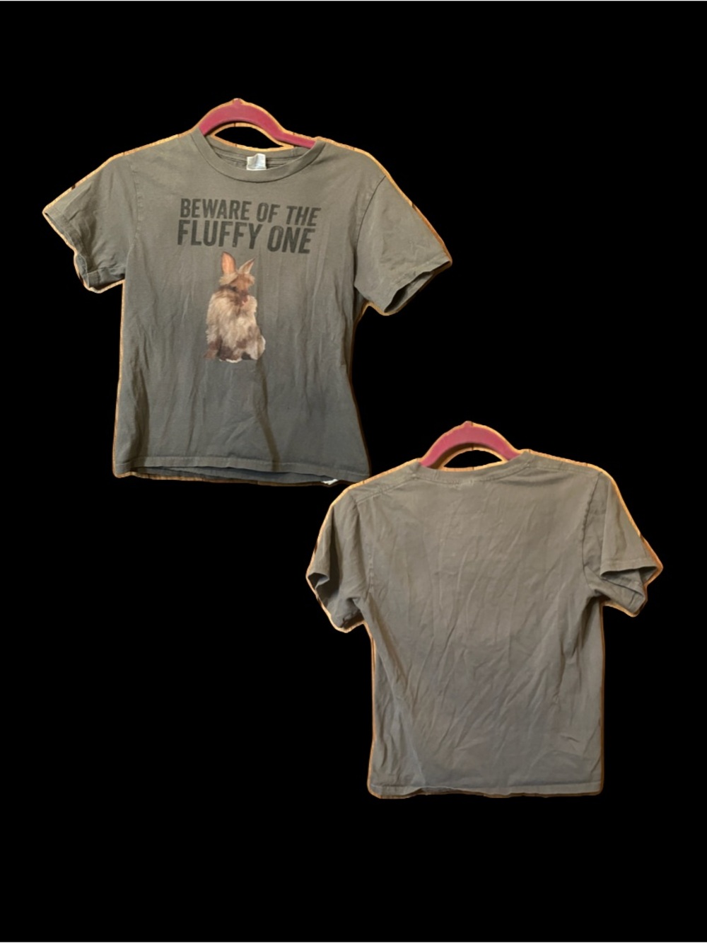 'Beware of the Fluffy One' Graphic Tee - Gray